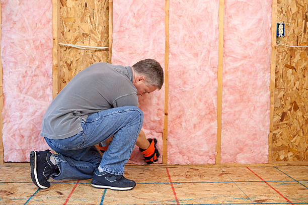 Best Garage Insulation  in Schoolcraft, MI